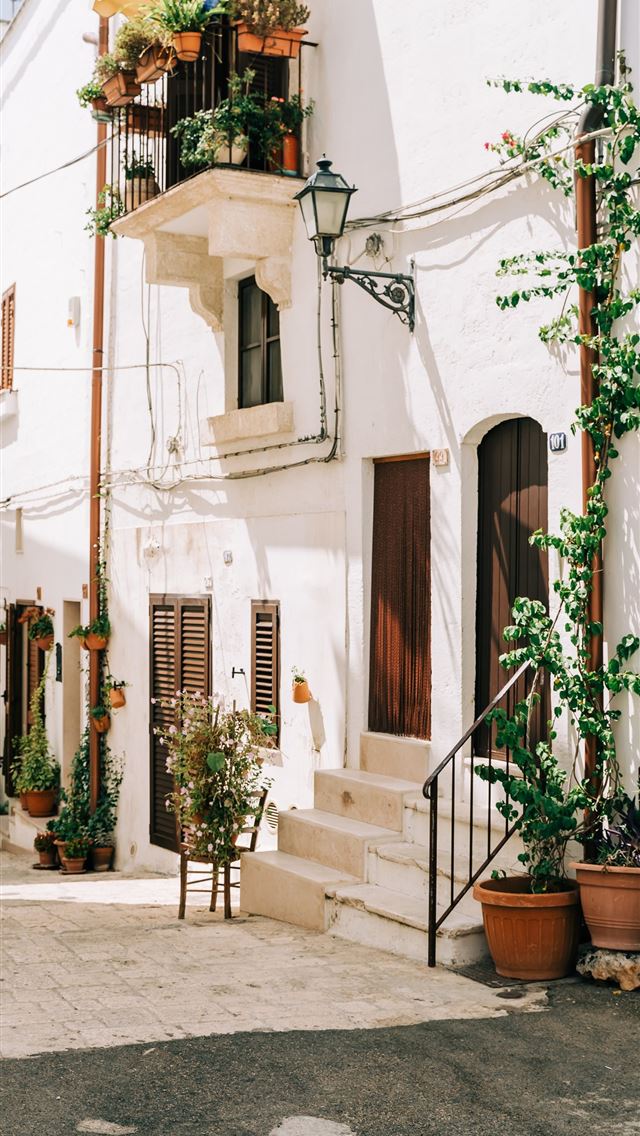 1290x2796 green plants on brown clay pots - italy iPhone Wallpaper