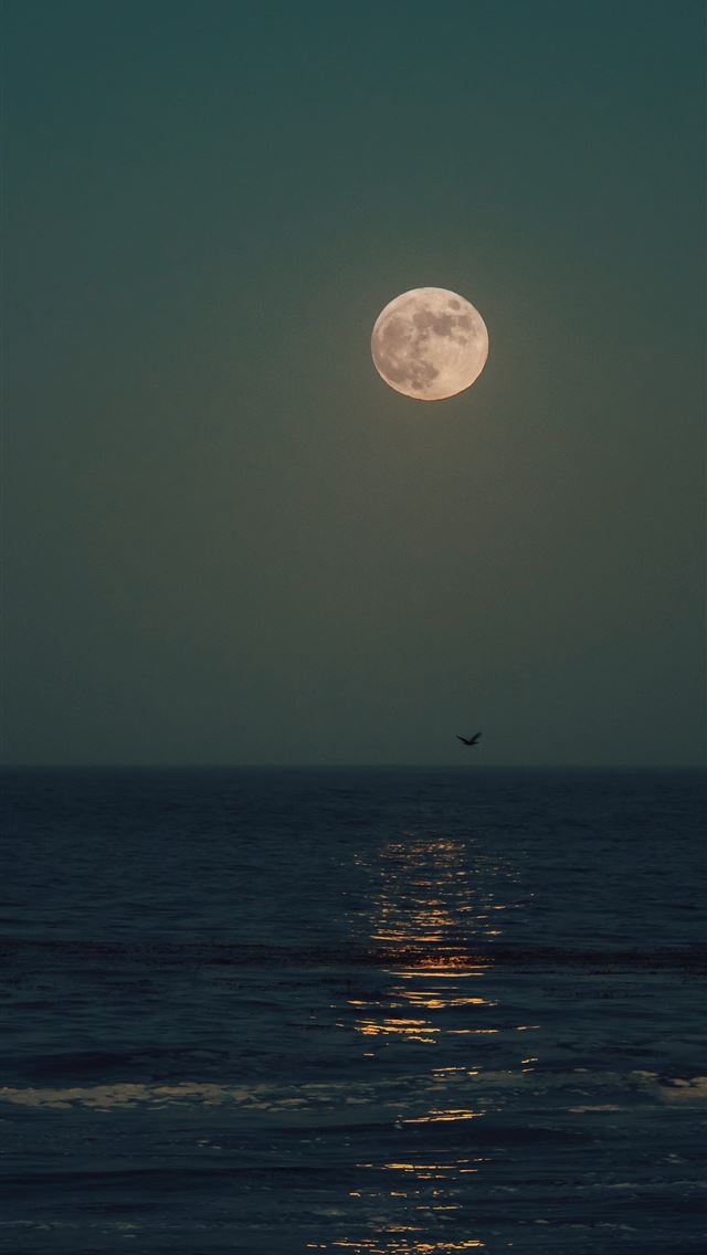 1290x2796 body of water during sunset -  iphone 14 Wallpaper
