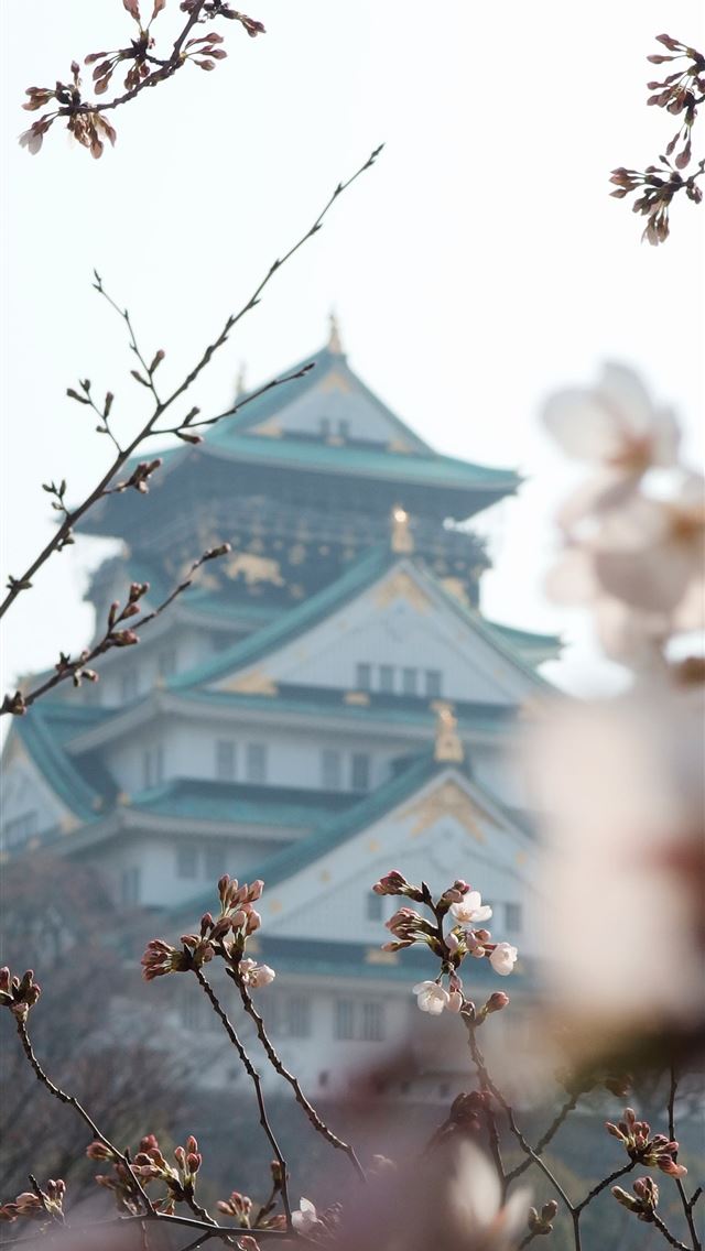 1290x2796 a view of a building through the branches of a tre... - cherry blossoms iPhone Wallpaper