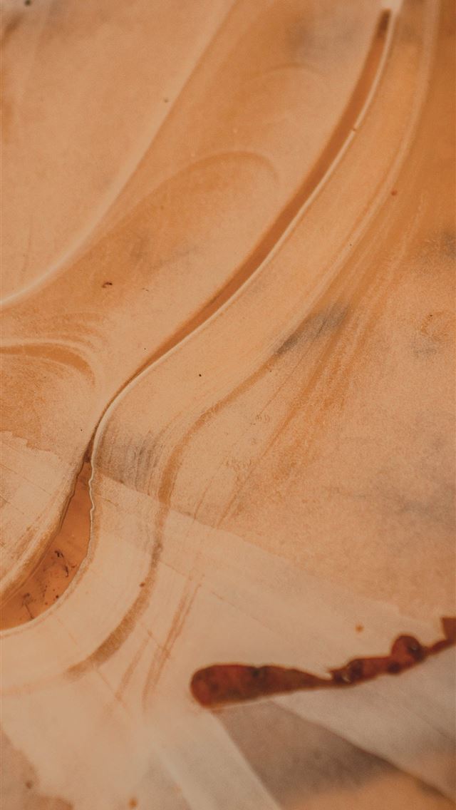 1290x2796 white and orange ceramic plate - wood iPhone Wallpaper