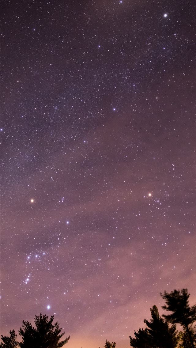1290x2796 green trees photography - space iPhone Wallpaper