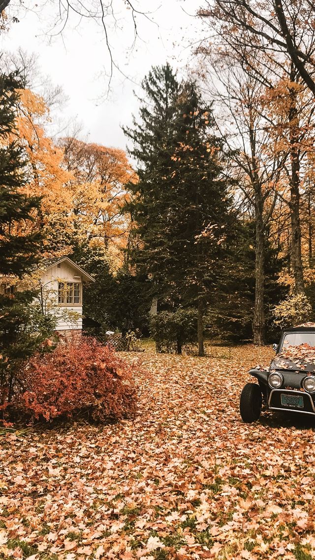 1290x2796 black car - iphone iPhone Wallpaper