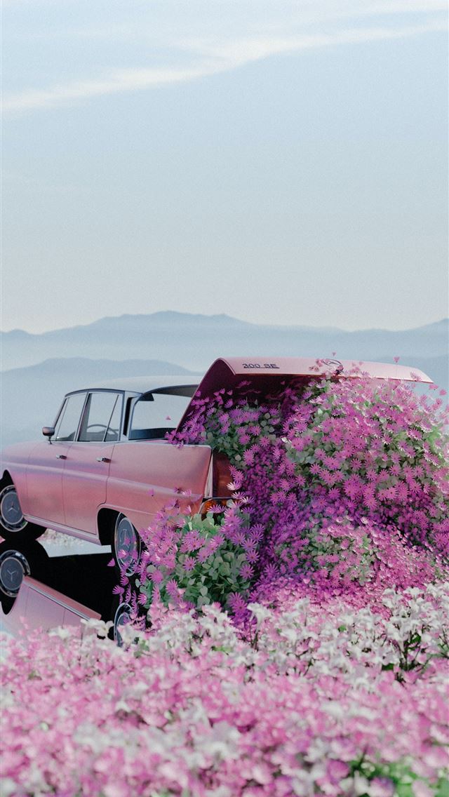 Pink car flower mini toy HD phone wallpaper  Peakpx