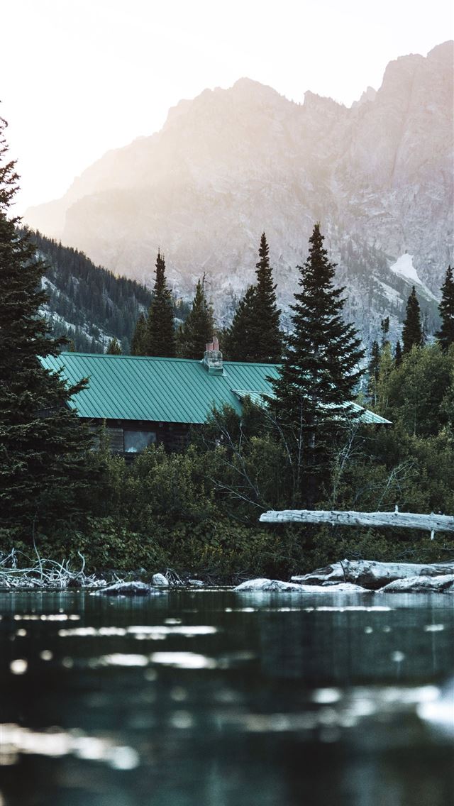 1290x2796 green leafed tree near body of water - house iPhone Wallpaper