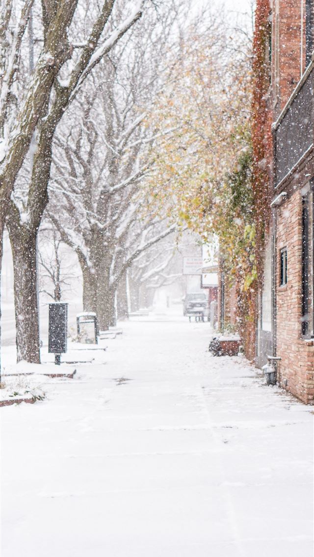 1290x2796 land covered with snow - snowflake iPhone Wallpaper