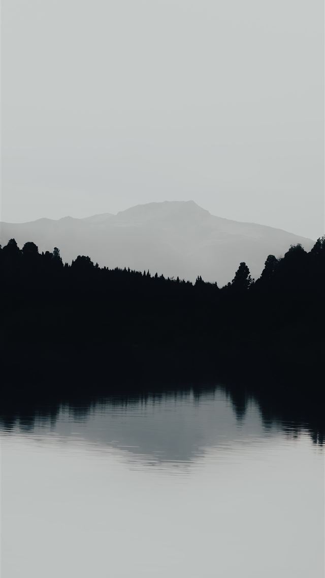 1290x2796 grayscale photography of body of water viewing mou... -  iphone 14 Wallpaper