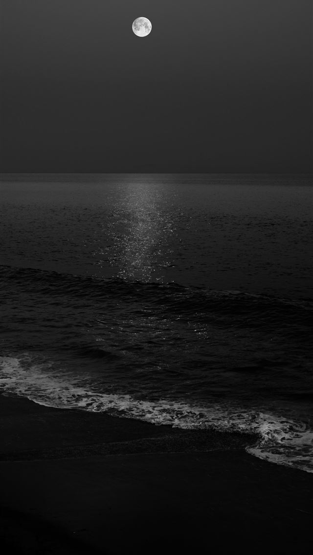 1290x2796 grayscale photo of ocean waves -  iphone 14 Wallpaper