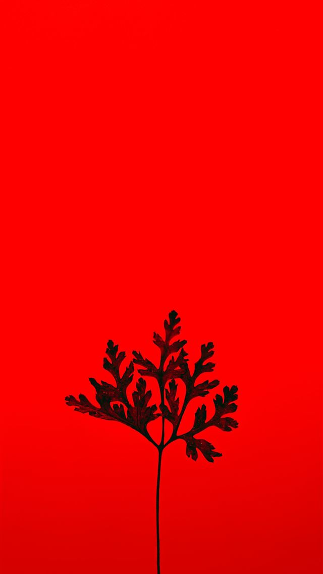 43+] Red Tree Wallpaper - WallpaperSafari
