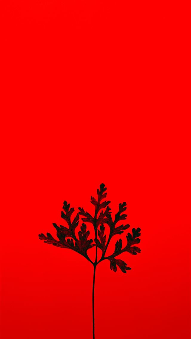 1290x2796 red and black tree with red background - leaf iPhone Wallpaper