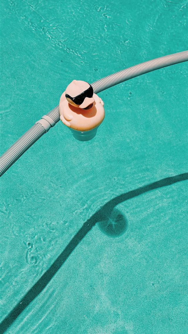 1290x2796 yellow rubber duck on pool - summer iPhone Wallpaper