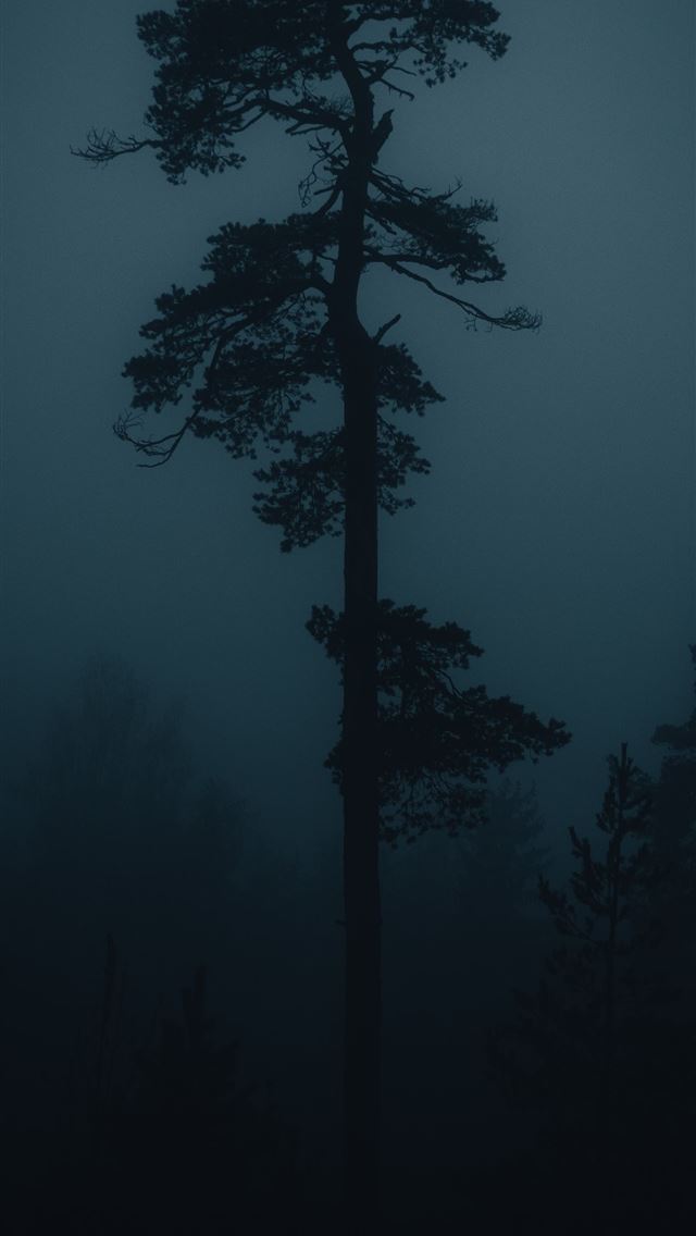 1290x2796 silhouette of tree during night time - outer space iPhone Wallpaper