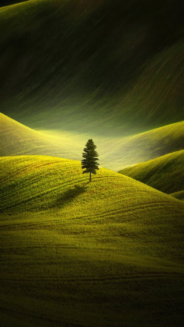 1290x2796 morning embrace 4k - nature iPhone Wallpaper
