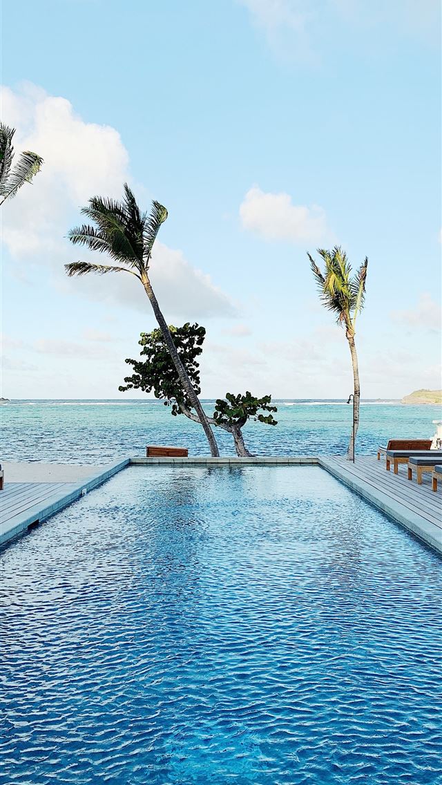 1290x2796 close up photography of swimming pool - tree iPhone Wallpaper