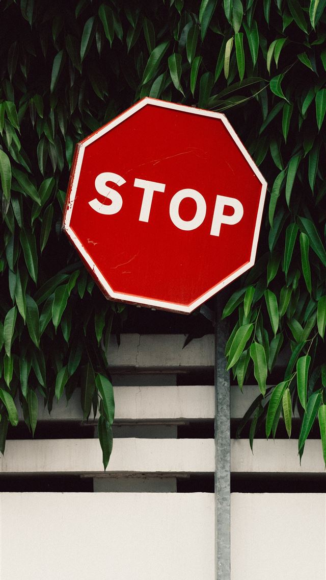 1290x2796 red and white Stop road sign near green tree - leaf iPhone Wallpaper