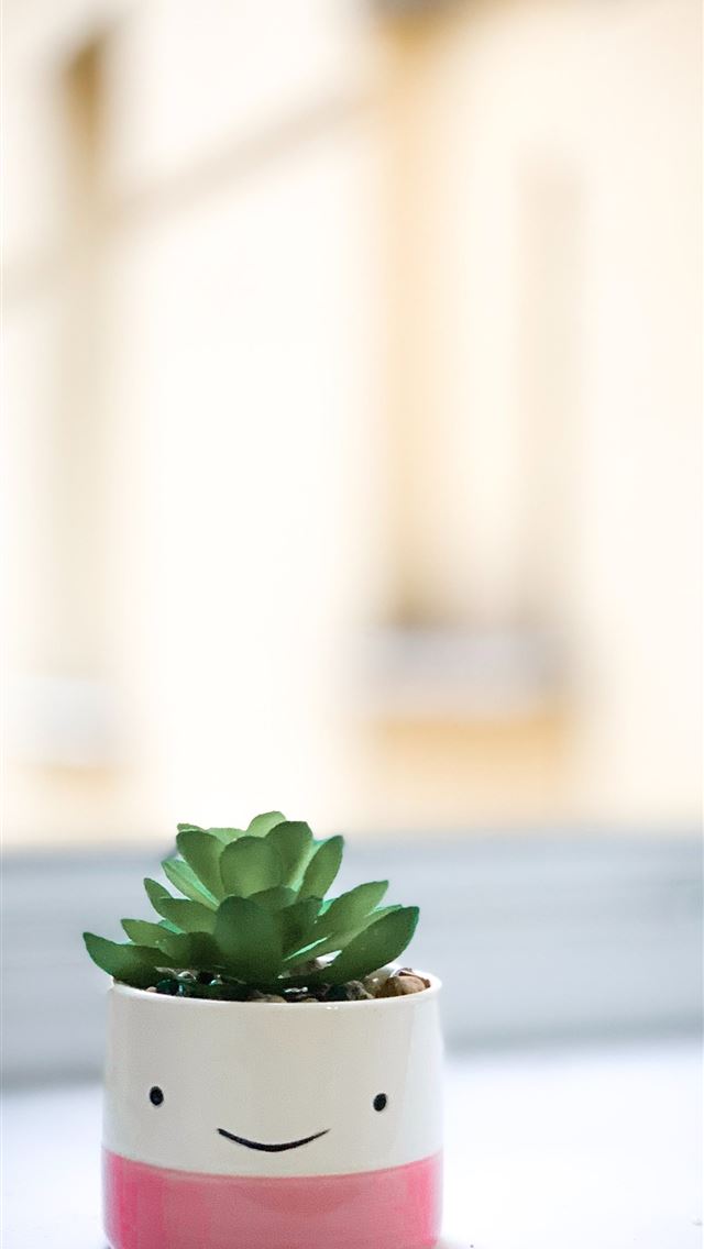 1290x2796 green succulent on white and pink pot - cartoon iPhone Wallpaper