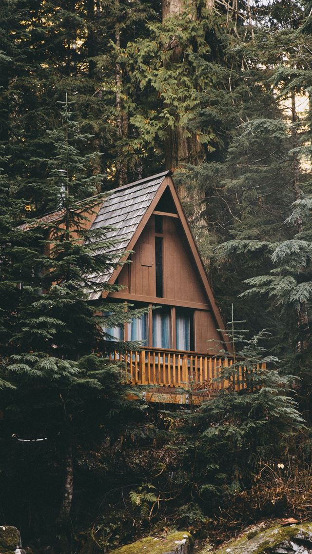 1290x2796 brown and grey wooden cabin surrounded by trees - house iPhone Wallpaper