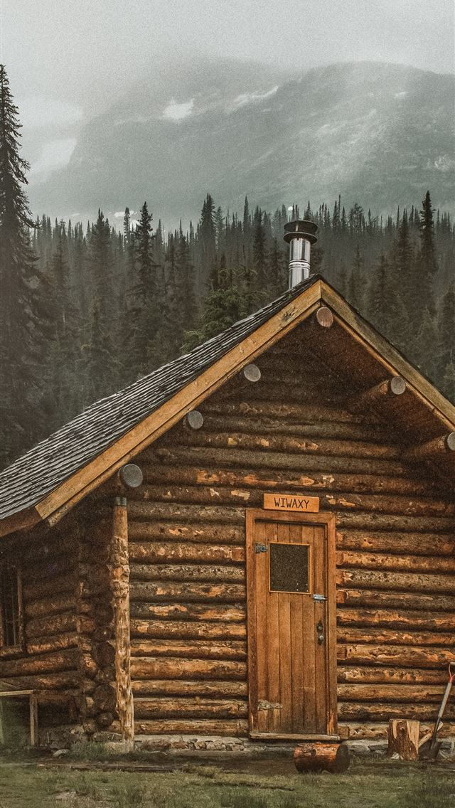 1290x2796 brown wooden cabin near trees during day - woods iPhone Wallpaper