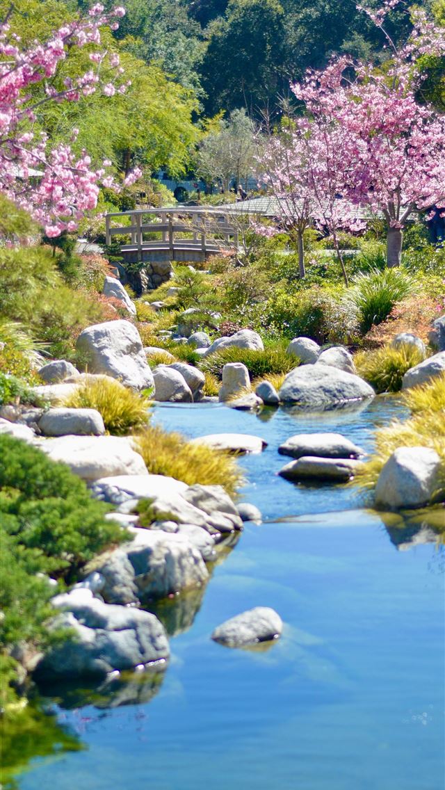 1290x2796 green and pink trees beside river during daytime -  iphone 14 Wallpaper