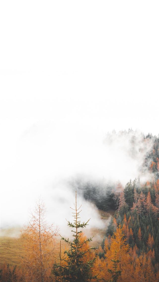 1290x2796 green trees - trees iPhone Wallpaper