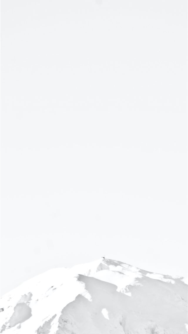 1290x2796 white and gray floral bed sheet - bright iPhone Wallpaper
