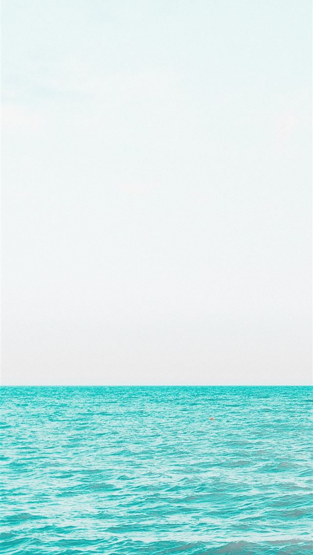 1242x2688 body of water under white sky during daytime - summer iPhone Wallpaper