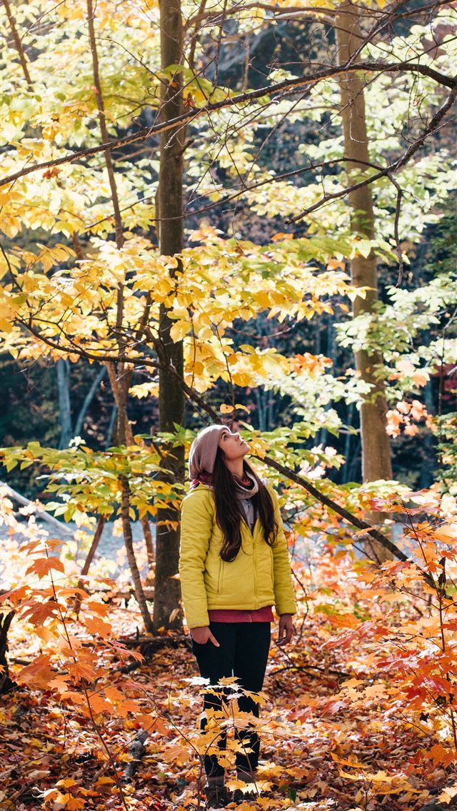1290x2796 photo of woman looking up the trees - autumn iPhone Wallpaper