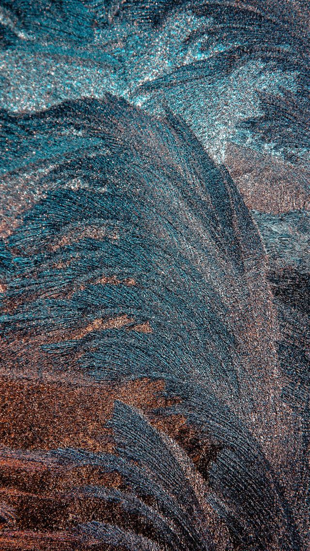 1290x2796 a close up of a bird's feathers pattern - winter iPhone Wallpaper