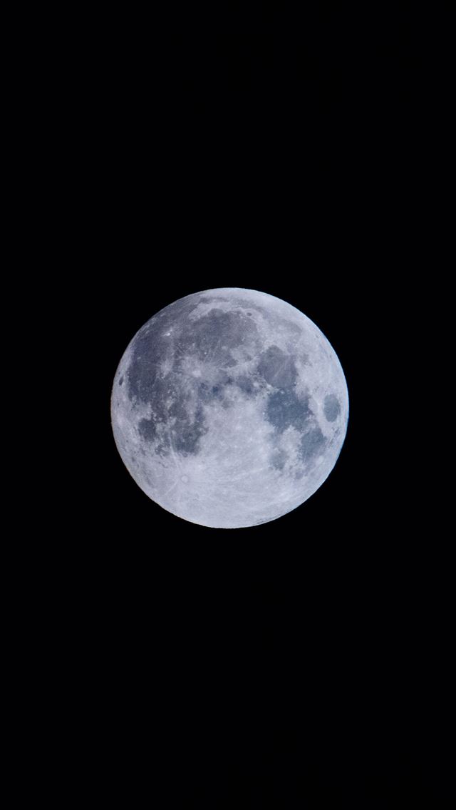 1290x2796 full moon at night -  iphone 14 Wallpaper