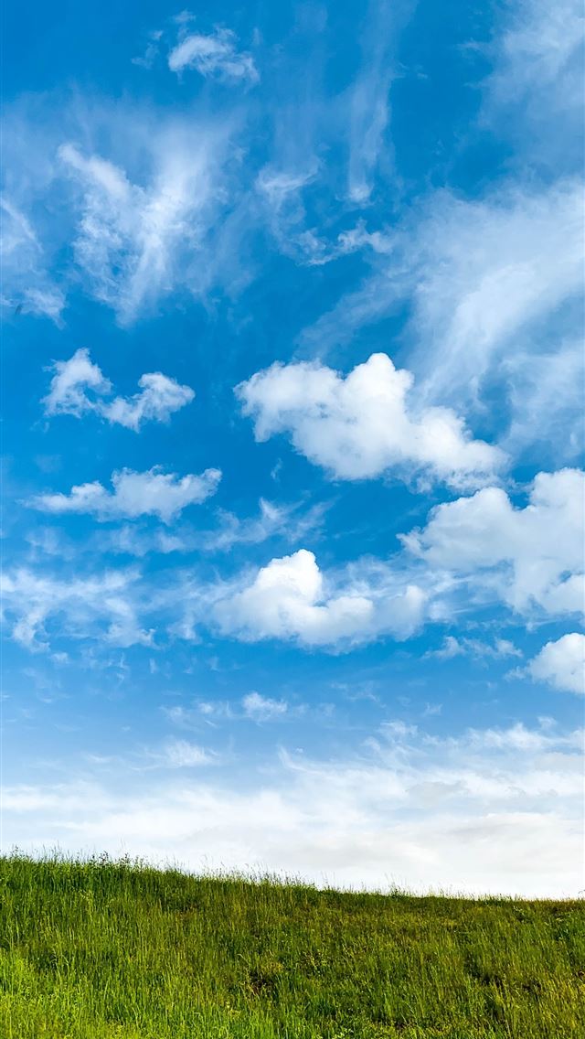 1290x2796 green grass field under blue sky and white clouds ... -  iphone 14 Wallpaper