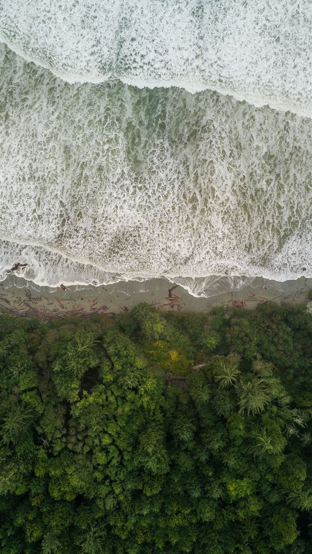 1290x2796 aerial photo of sea water and green forset - beach iPhone Wallpaper