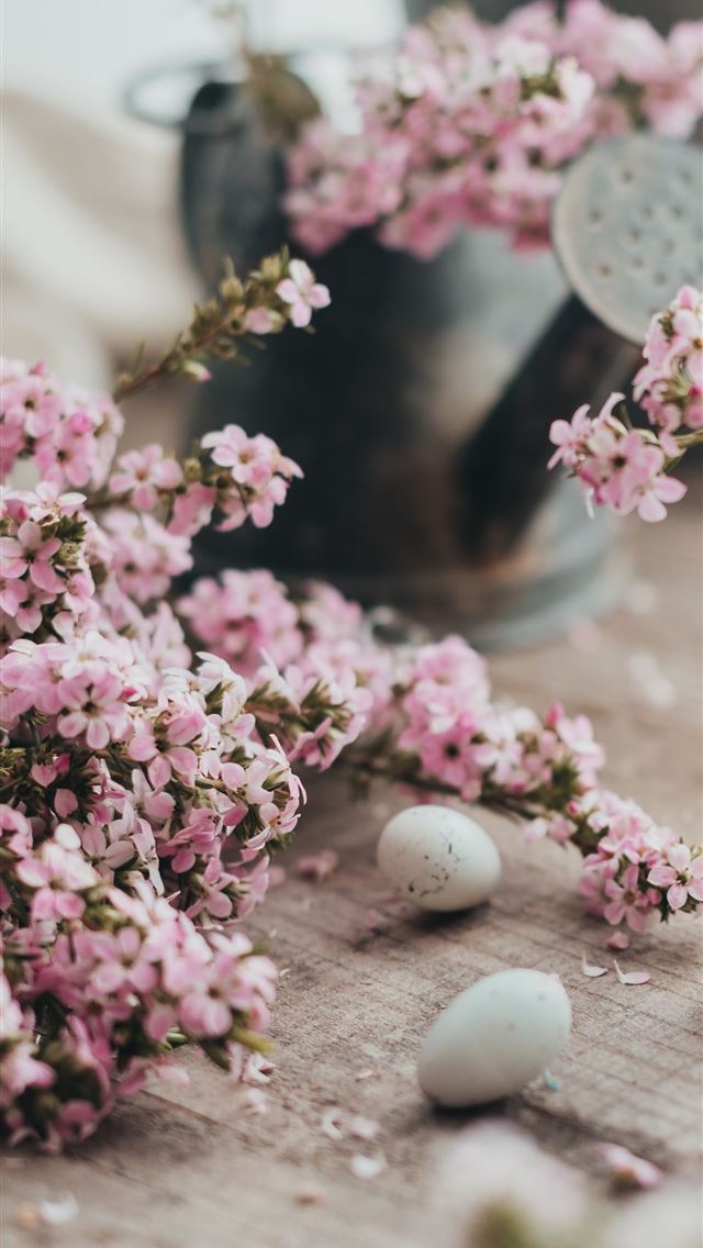 1290x2796 pink and white flowers on clear glass jar - food iPhone Wallpaper