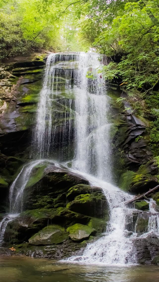 1290x2796 waterfalls between green trees - waterfall iPhone Wallpaper