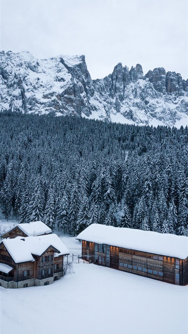 1290x2796 brown wooden houses on snow - love iPhone Wallpaper