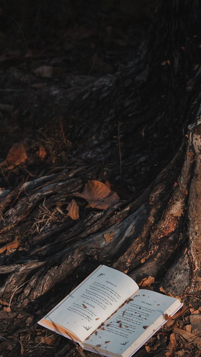 1290x2796 white book on brown tree trunk - book iPhone Wallpaper