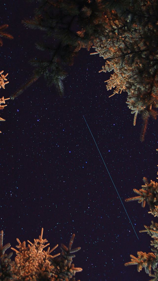 1290x2796 starry nights - stars iPhone Wallpaper