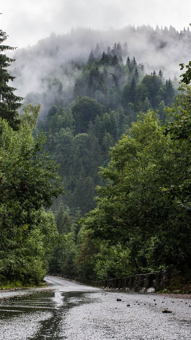 1290x2796 green mountain covered with fog - tree iPhone Wallpaper