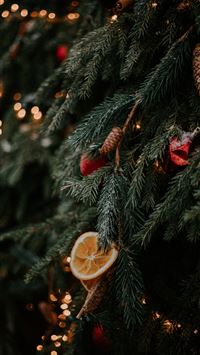 gold christmas baubles on green christmas tree wallpaper