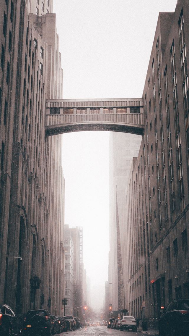 1290x2796 different vehicles on road in between high rise bu... - window iPhone Wallpaper