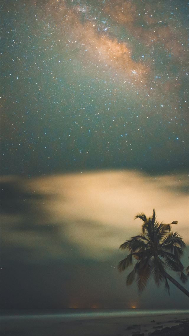 1290x2796 green coconut trees -  iphone 15 Wallpaper