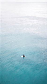 white and black bird flying over sea wallpaper