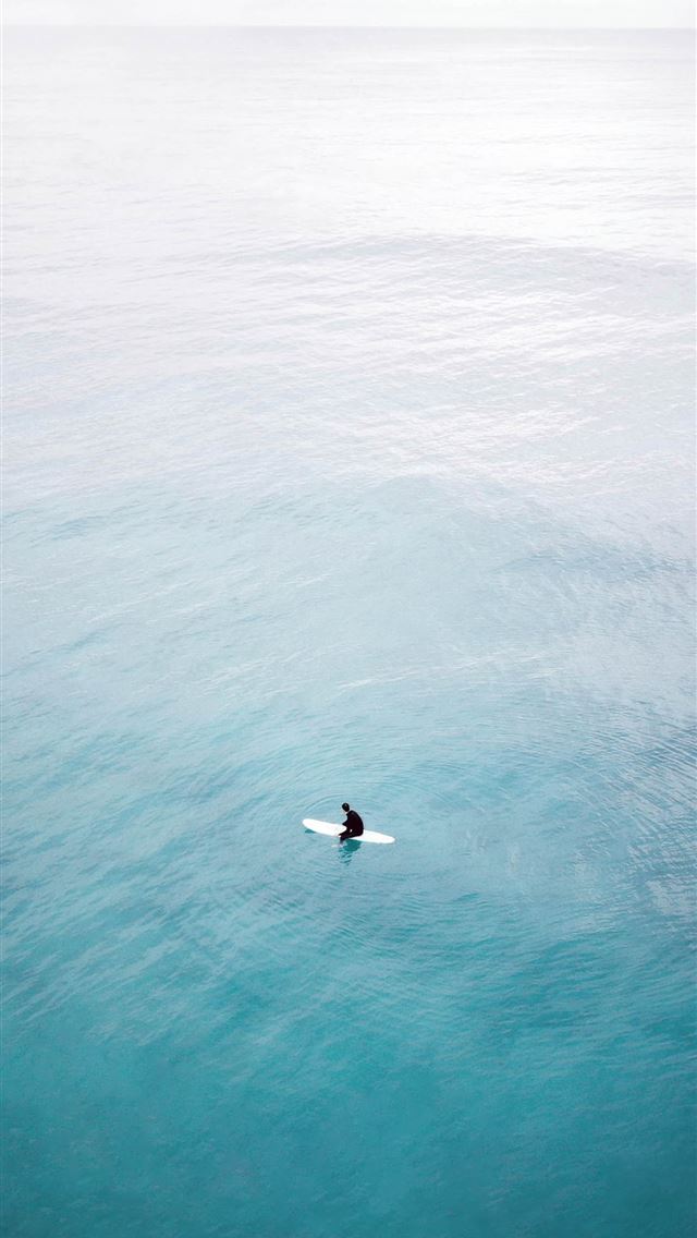 1290x2796 white and black bird flying over sea -  iphone 15 Wallpaper