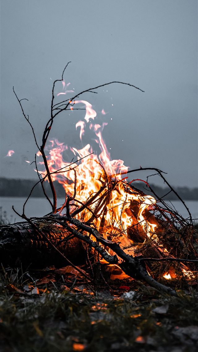 1290x2796 fire burning at night -  iphone 15 Wallpaper