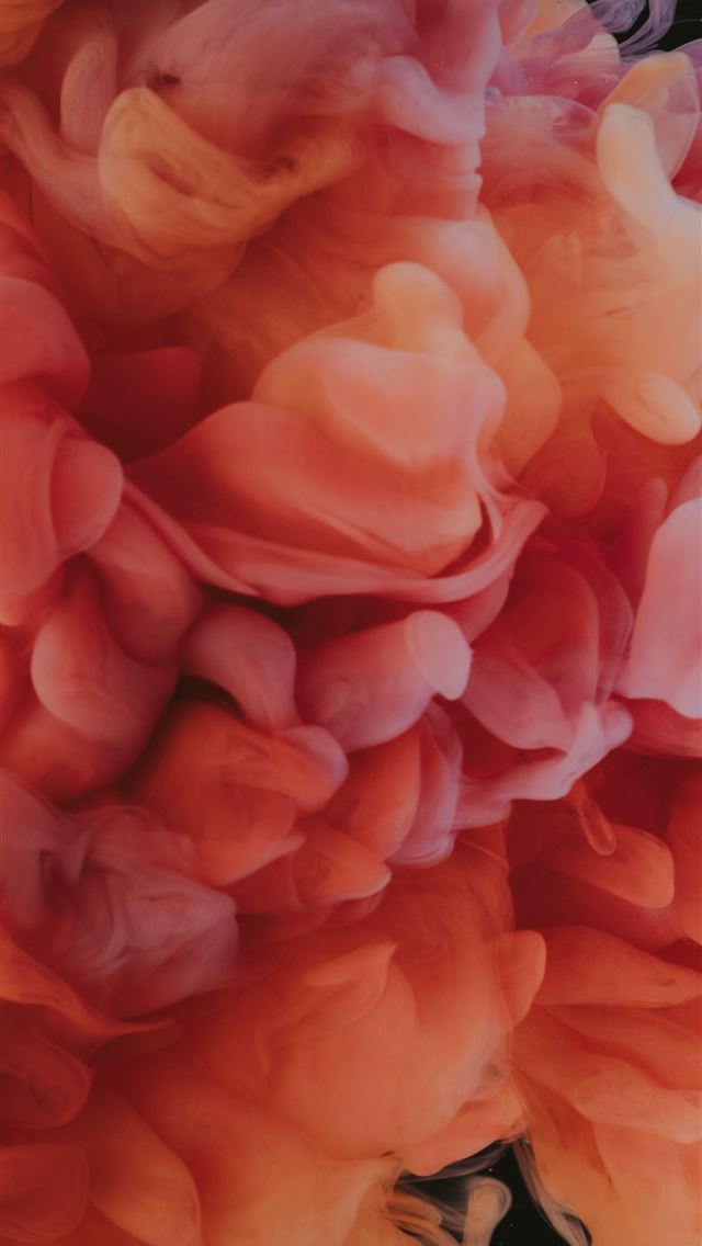 1290x2796 pink flower petals in close up photography - flower iPhone Wallpaper