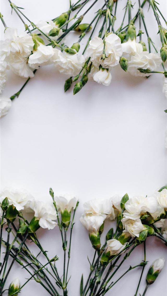 640x1136 white petaled flowers forming oblong -  iPhone Wallpaper