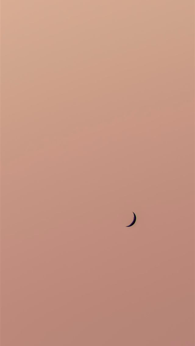 1290x2796 a bird flying in the sky with a half moon in the b... - texture iPhone Wallpaper