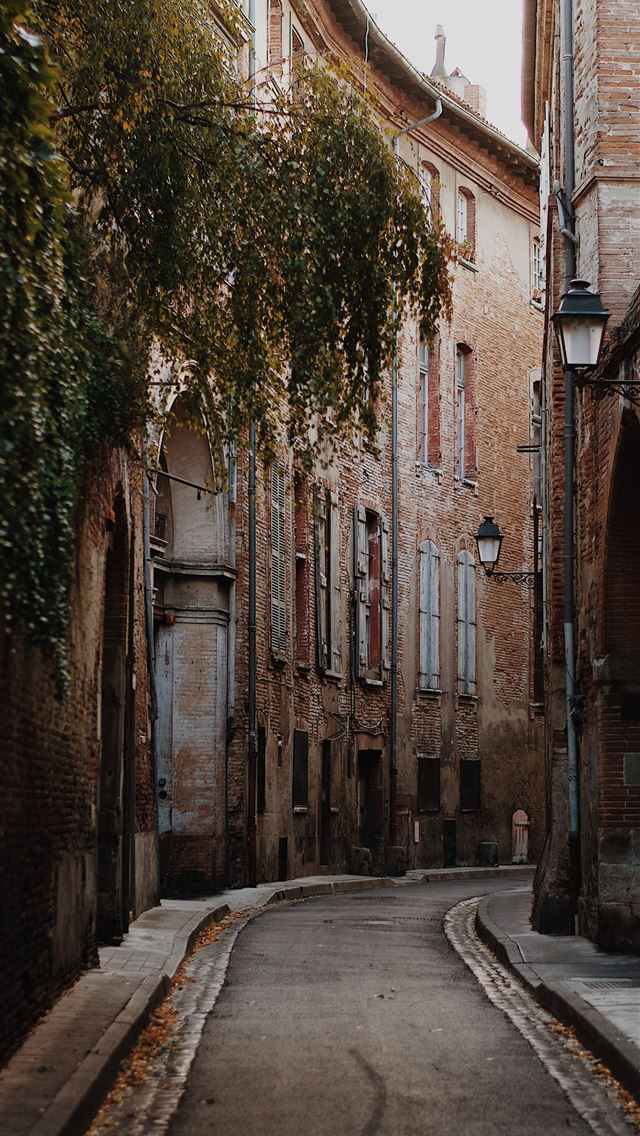 1290x2796 brown brick building with green trees on side -  iphone 15 Wallpaper