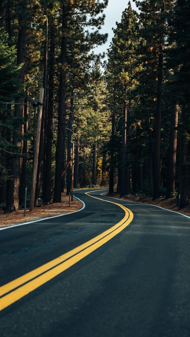 1290x2796 brown road between trees during daytime -  iphone 15 Wallpaper
