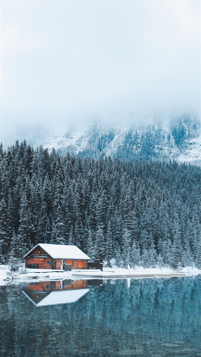 1290x2796 brown and white wooden house surrounded with tall ... - mountains iPhone Wallpaper