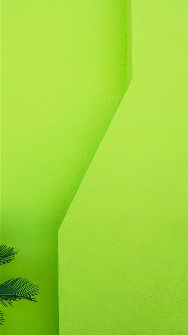 1290x2796 green palm tree beside green wall -  iphone 15 Wallpaper