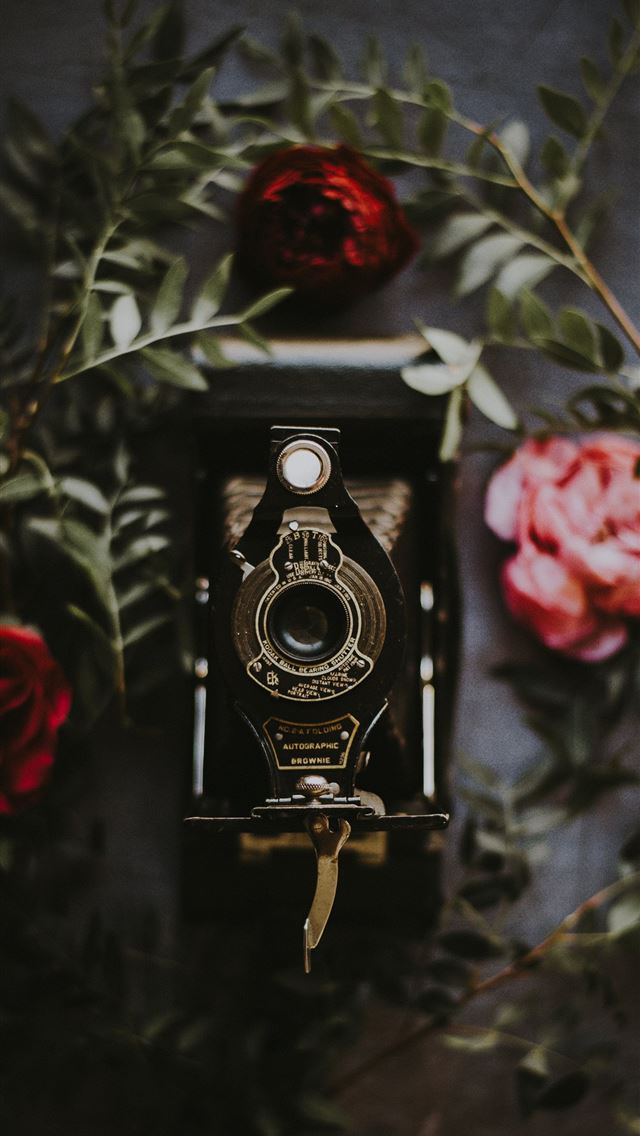 1290x2796 black folding camera surrounded red roses -  iphone 15 Wallpaper